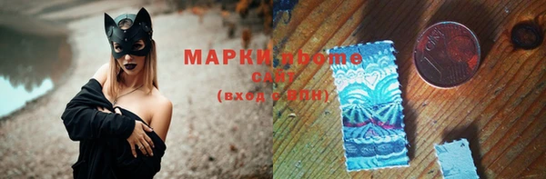 прущие грибы Михайловск