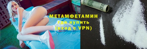 прущие грибы Михайловск