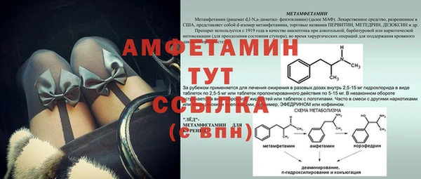 прущие грибы Михайлов