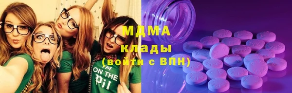 прущие грибы Михайлов