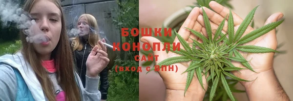 прущие грибы Михайловск