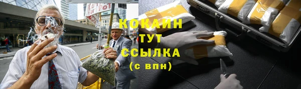прущие грибы Михайлов