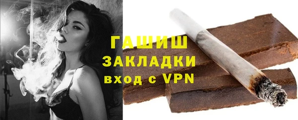 прущие грибы Михайлов