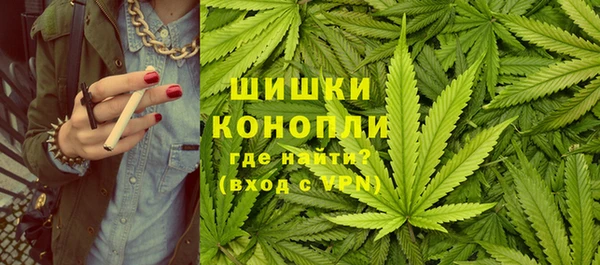 прущие грибы Михайловск