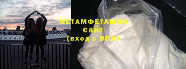 прущие грибы Михайловск