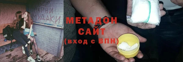 прущие грибы Михайлов