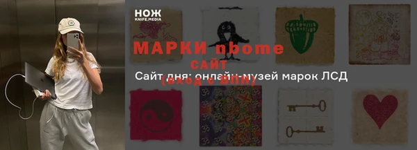 прущие грибы Михайлов