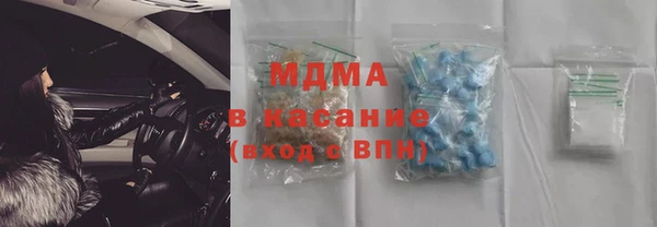 прущие грибы Михайлов