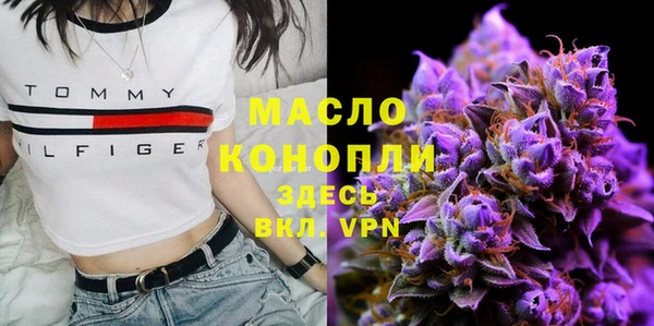 прущие грибы Михайловск