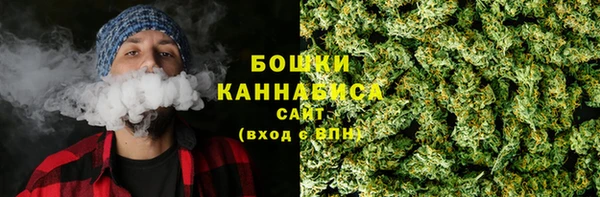 прущие грибы Михайлов