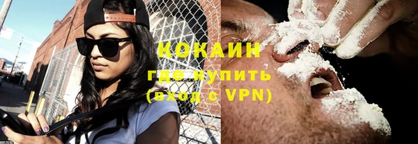 прущие грибы Михайловск