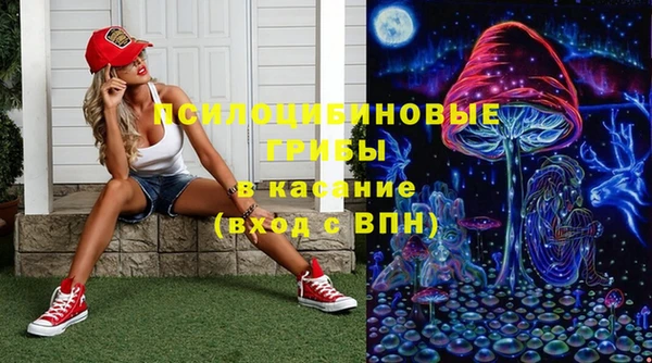 прущие грибы Михайловск