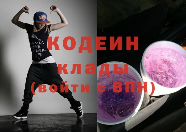 прущие грибы Михайлов