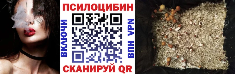 Псилоцибиновые грибы прущие грибы  наркота  Тайга 